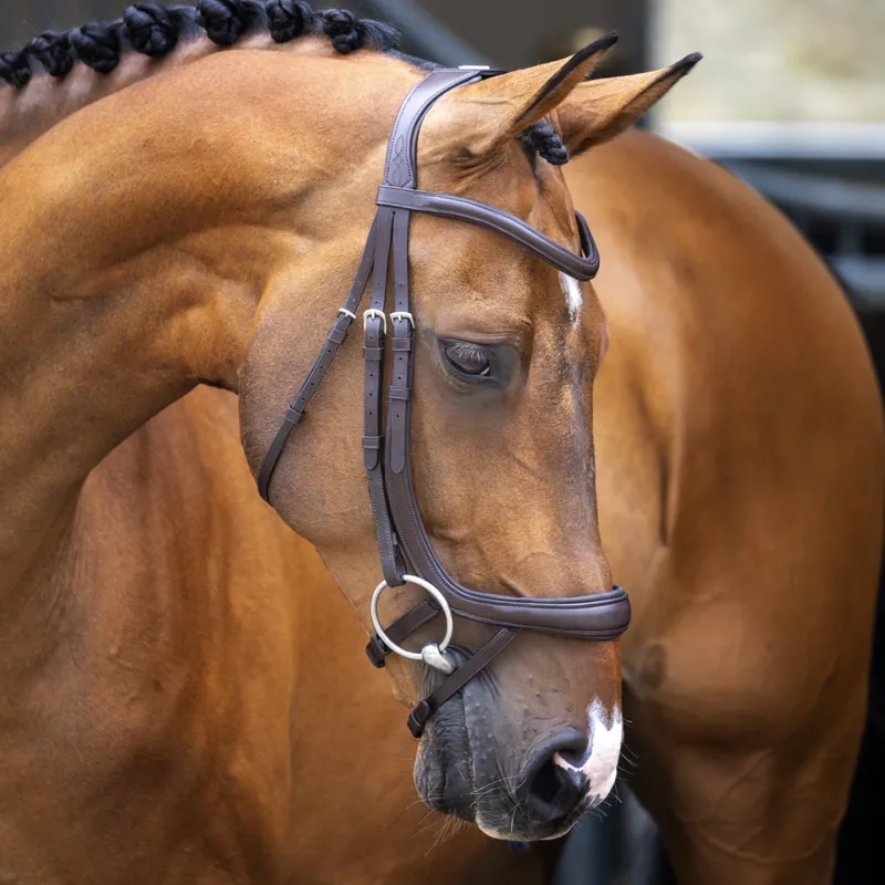 Shires Velociti Lusso Ergonomic Curved Flash Bridle - Havana